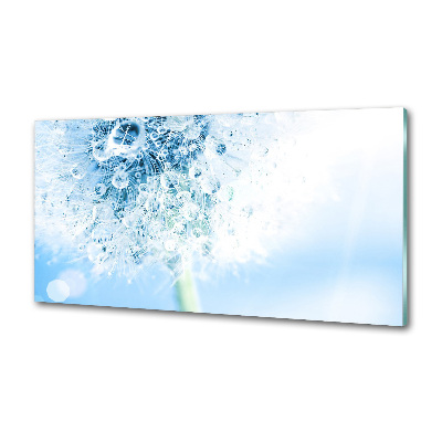 Glasrückwand für die küche Löwenzahn