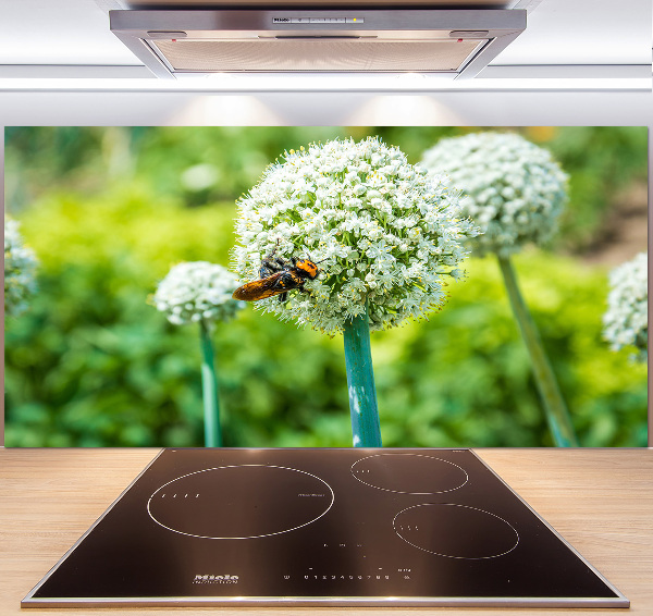 Glasrückwand für die küche Blühender Knoblauch