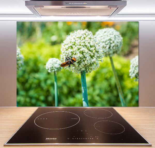 Glasrückwand für die küche Blühender Knoblauch