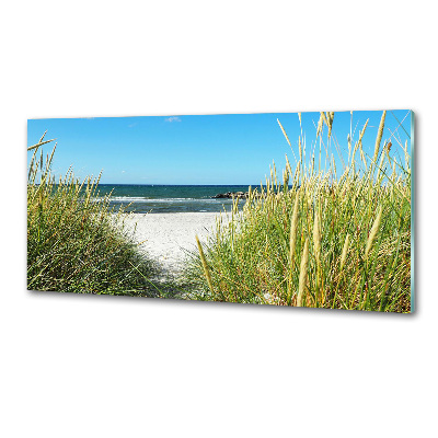 Glasrückwand für die küche Küstendünen