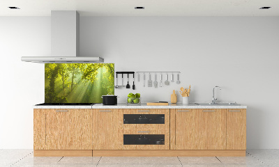 Platte für Küchenrückwand Wald in der Sonne