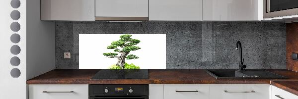 Glasrückwand für die küche Bonsai-Baum