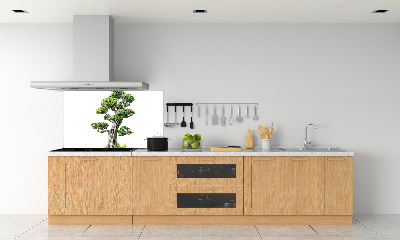 Glasrückwand für die küche Bonsai-Baum
