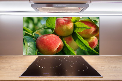 Glasrückwand für die küche Pfirsiche