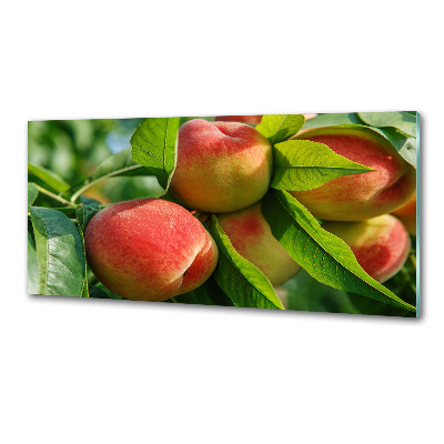 Glasrückwand für die küche Pfirsiche