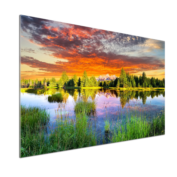 Küchen wandpaneel Fluss im Wald