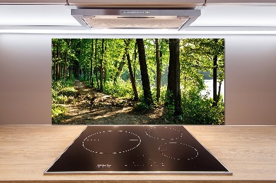 Glasrückwand für die küche Pfad in der Wiese