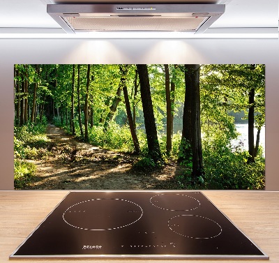 Glasrückwand für die küche Pfad in der Wiese