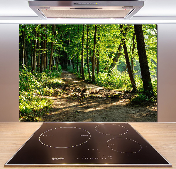 Glasrückwand für die küche Pfad in der Wiese