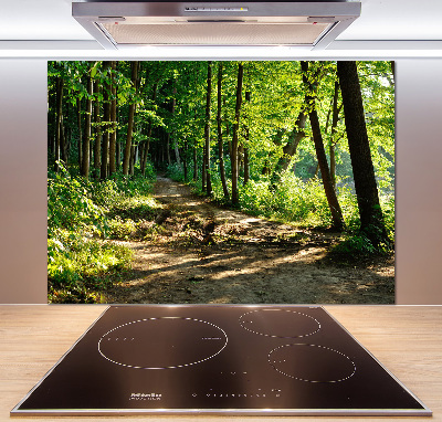 Glasrückwand für die küche Pfad in der Wiese