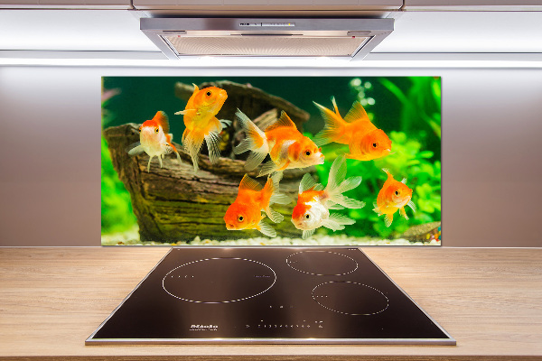Glasrückwand für die küche Goldfisch
