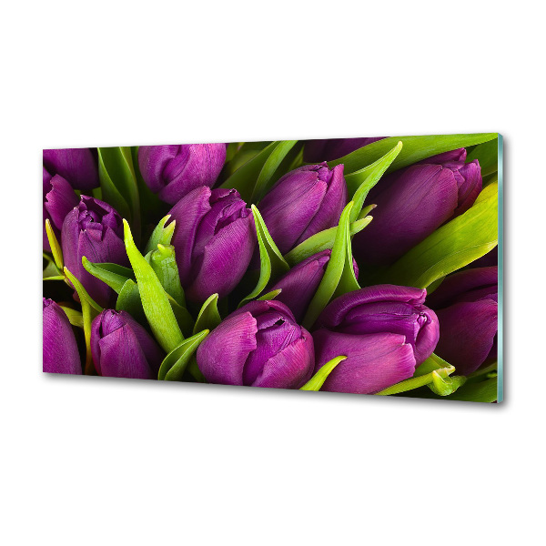 Glasrückwand für die küche Lila Tulpen
