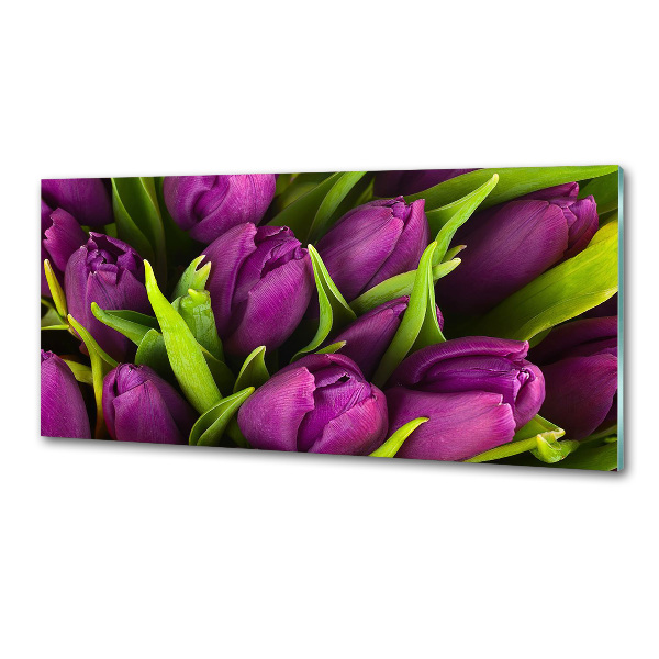 Glasrückwand für die küche Lila Tulpen