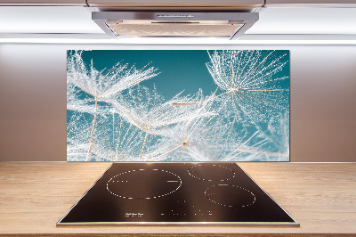 Küchen wandpaneel Löwenzahnsamen