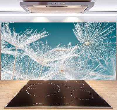 Küchen wandpaneel Löwenzahnsamen