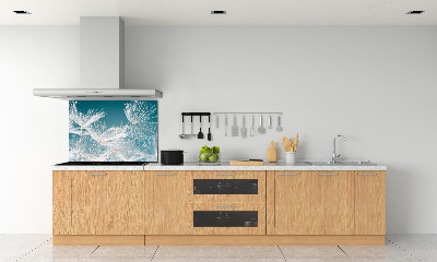 Küchen wandpaneel Löwenzahnsamen