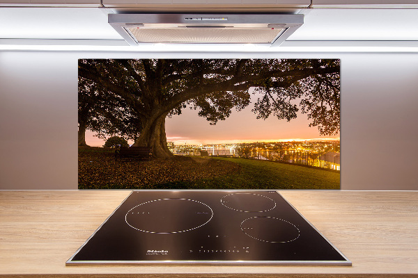 Platte für Küchenrückwand Alter Baum