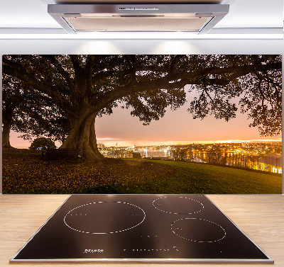 Platte für Küchenrückwand Alter Baum