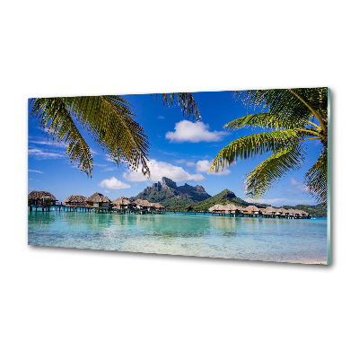 Glasrückwand für die küche Palmen in Bora Bora