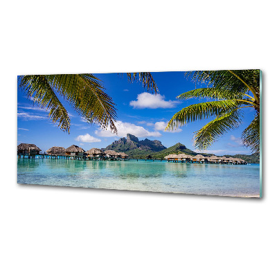 Glasrückwand für die küche Palmen in Bora Bora