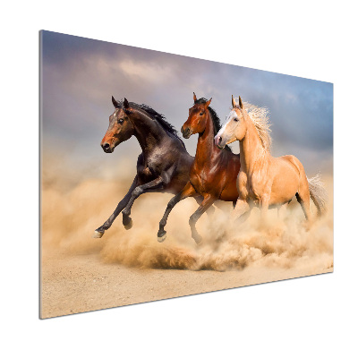 Küchen wandpaneel Pferde im Galopp