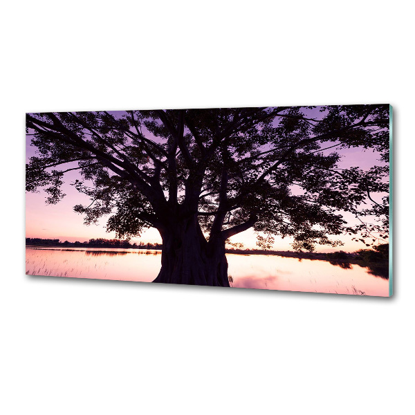 Glasrückwand für die küche Baum und See