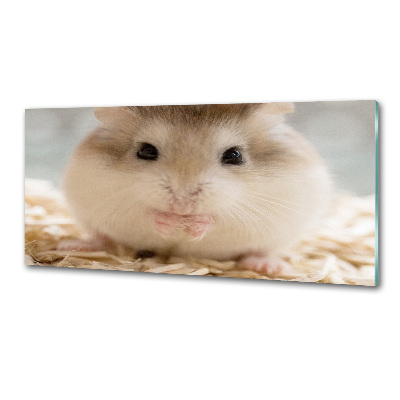 Platte für Küchenrückwand Hamster