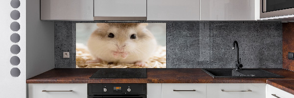 Platte für Küchenrückwand Hamster