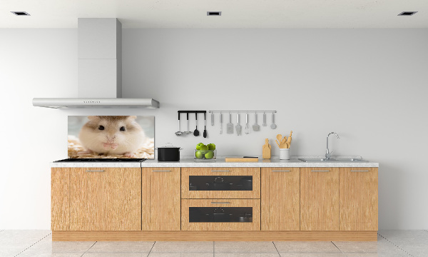 Platte für Küchenrückwand Hamster