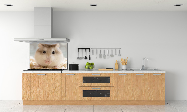 Platte für Küchenrückwand Hamster