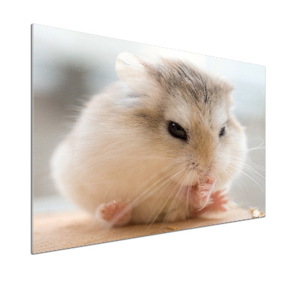 Küchen wandpaneel Hamster