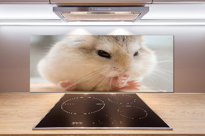 Küchen wandpaneel Hamster