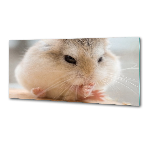 Küchen wandpaneel Hamster