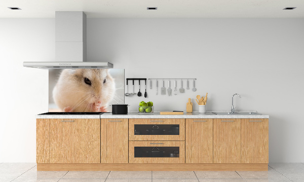 Küchen wandpaneel Hamster