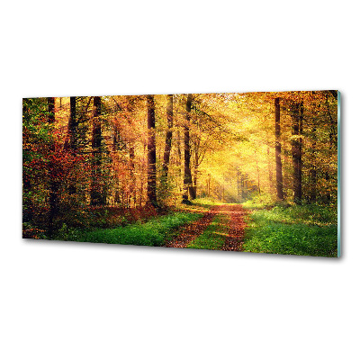 Glasrückwand für die küche Wald im Herbst