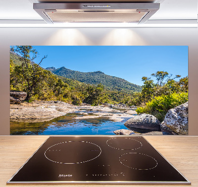 Küchen wandpaneel Fluss im Wald