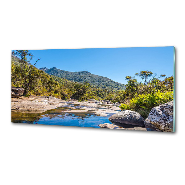 Küchen wandpaneel Fluss im Wald