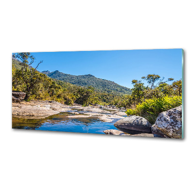 Küchen wandpaneel Fluss im Wald