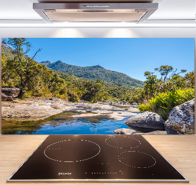 Küchen wandpaneel Fluss im Wald