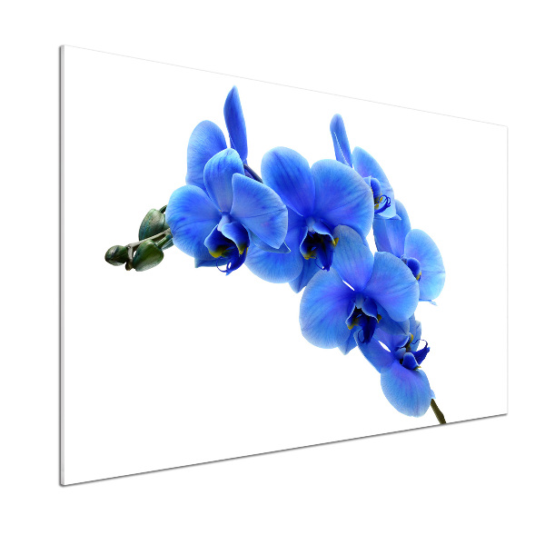Platte für Küchenrückwand Blaue Orchidee