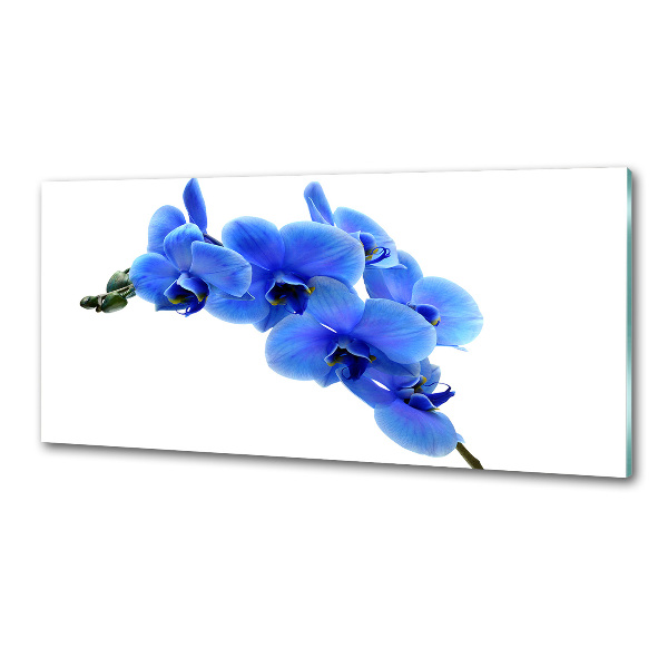 Platte für Küchenrückwand Blaue Orchidee