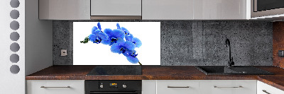 Platte für Küchenrückwand Blaue Orchidee