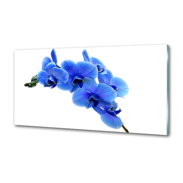 Platte für Küchenrückwand Blaue Orchidee