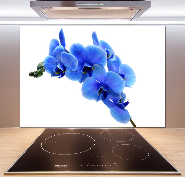 Platte für Küchenrückwand Blaue Orchidee