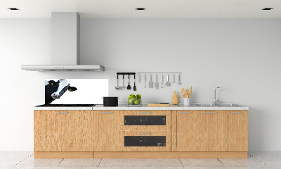 Platte für Küchenrückwand Kuh