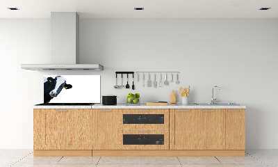 Platte für Küchenrückwand Kuh