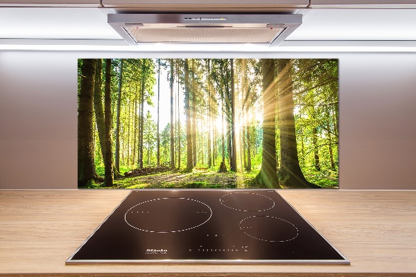 Küchen wandpaneel Wald in der Sonne
