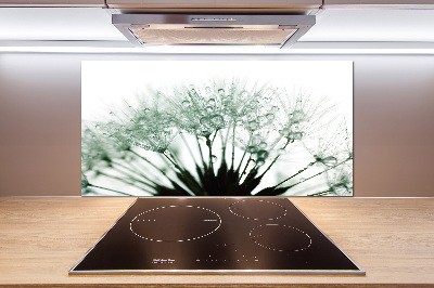 Küchen wandpaneel Löwenzahnsamen