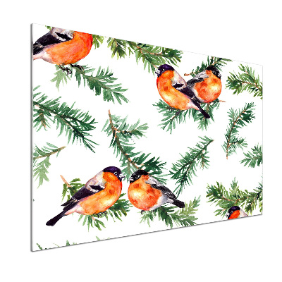 Glasrückwand für die küche Rotkehlchen auf einer Nadelbaum