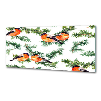 Glasrückwand für die küche Rotkehlchen auf einer Nadelbaum